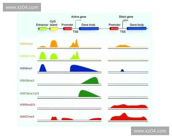 Dota2职业选手收入揭秘分析 及其背后薪资结构和发展趋势